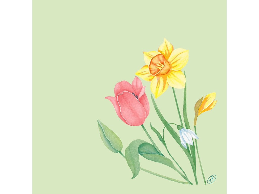 Serviet Bio Dunisoft Spring Melody 40x40cm Floret