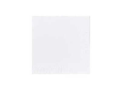 Serviet Duni 24x24cm 2-lag Hvid