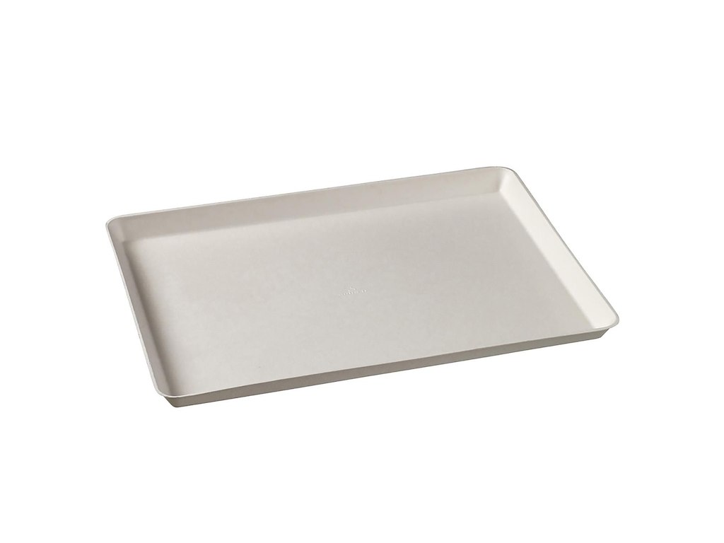 Bakke platte 271x185x20 mm stor Kanopee bagasse af sukkerrør Hvid
